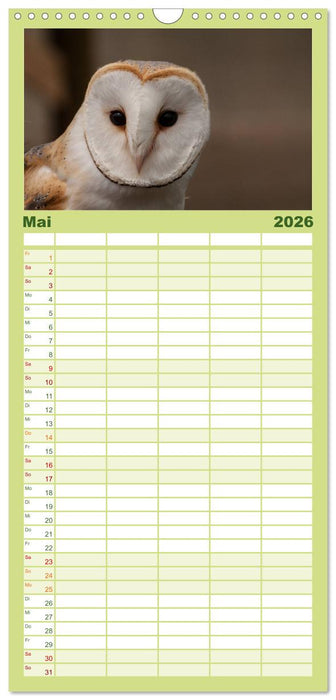 Eulen. Wächter der Nacht (CALVENDO Familienplaner 2026)