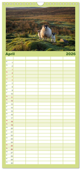 Schottland - Scotland - Alba (CALVENDO Familienplaner 2026)