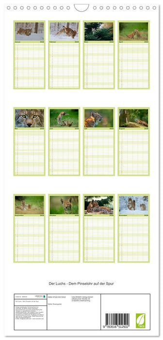 Der Luchs - Dem Pinselohr auf der Spur (CALVENDO Familienplaner 2026)