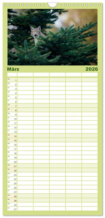 Der Luchs - Dem Pinselohr auf der Spur (CALVENDO Familienplaner 2026)