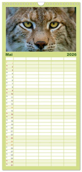 Der Luchs - Dem Pinselohr auf der Spur (CALVENDO Familienplaner 2026)