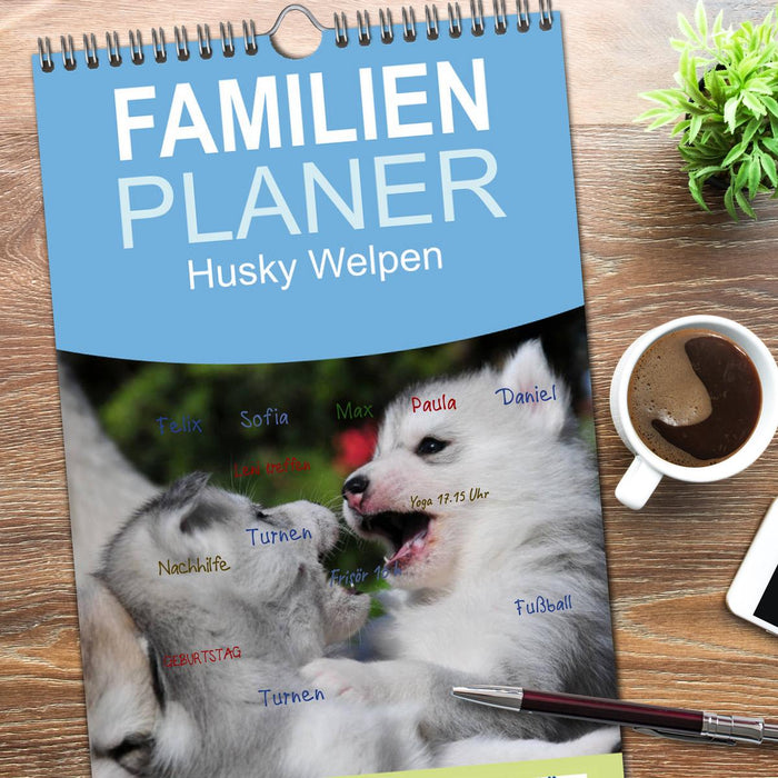 Husky Welpen (CALVENDO Familienplaner 2026)