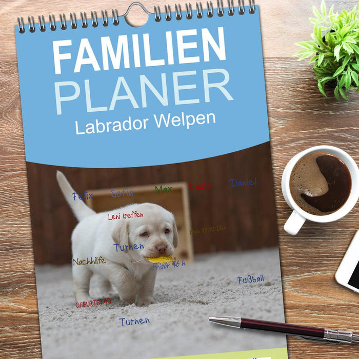 Labrador Welpen (CALVENDO Familienplaner 2026)