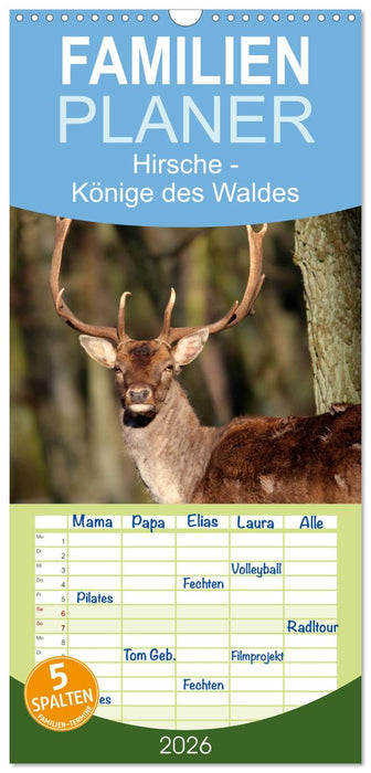 Hirsche - Könige des Waldes (CALVENDO Familienplaner 2026)
