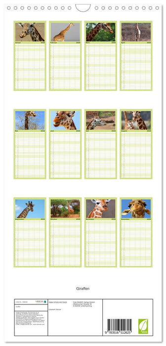 Giraffen (CALVENDO Familienplaner 2026)