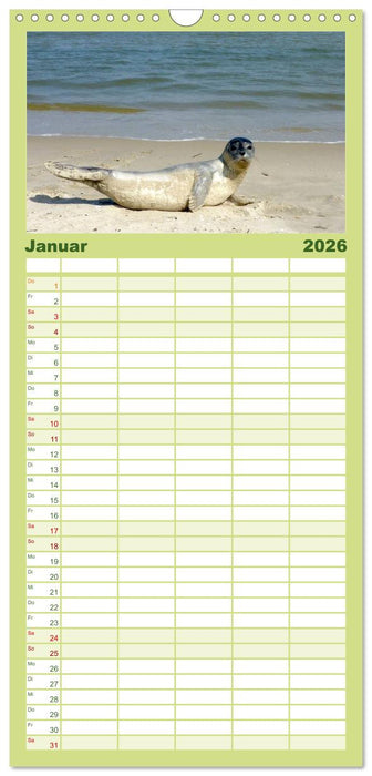 Töwerland Juist (CALVENDO Familienplaner 2026)