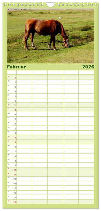 Töwerland Juist (CALVENDO Familienplaner 2026)