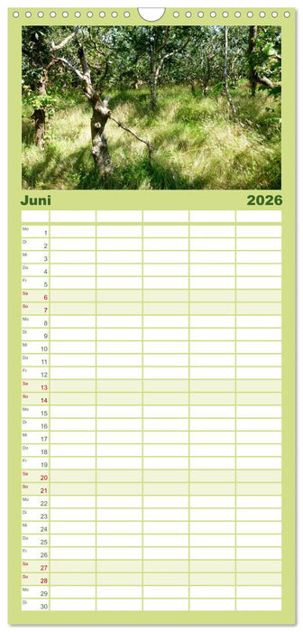 Töwerland Juist (CALVENDO Familienplaner 2026)