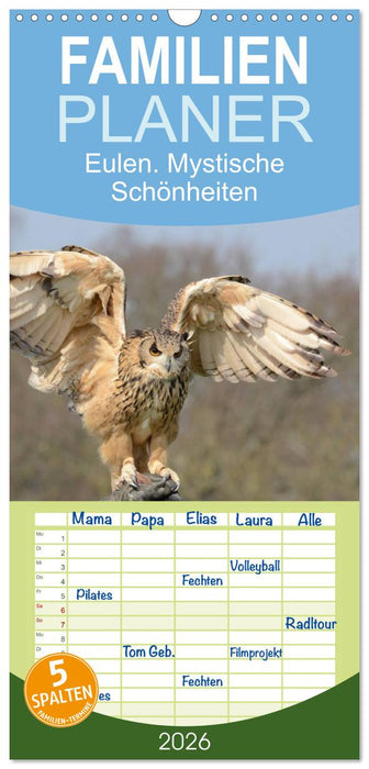 Eulen. Mystische Schönheiten (CALVENDO Familienplaner 2026)