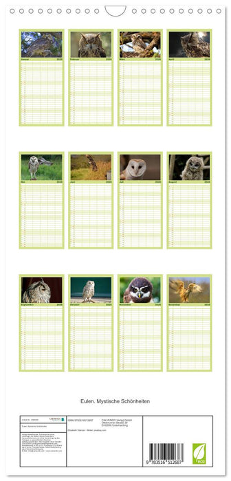 Eulen. Mystische Schönheiten (CALVENDO Familienplaner 2026)