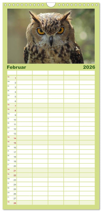 Eulen. Mystische Schönheiten (CALVENDO Familienplaner 2026)
