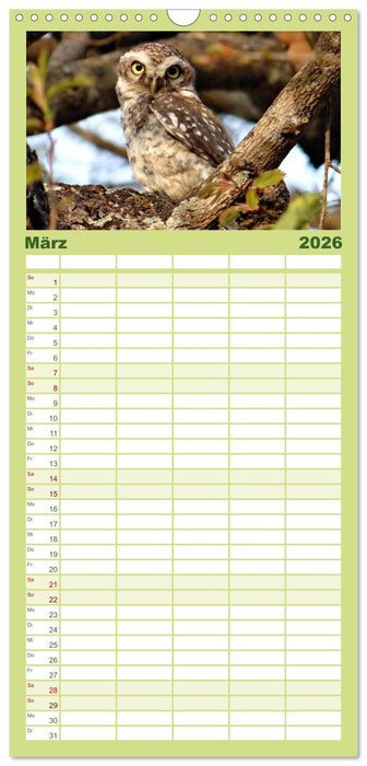 Eulen. Mystische Schönheiten (CALVENDO Familienplaner 2026)