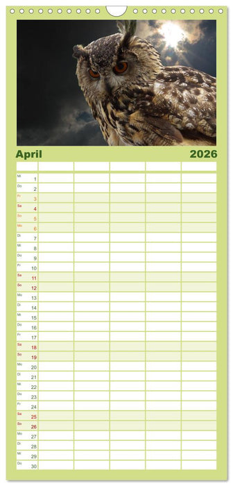 Eulen. Mystische Schönheiten (CALVENDO Familienplaner 2026)