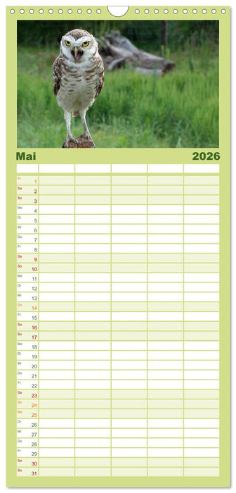 Eulen. Mystische Schönheiten (CALVENDO Familienplaner 2026)