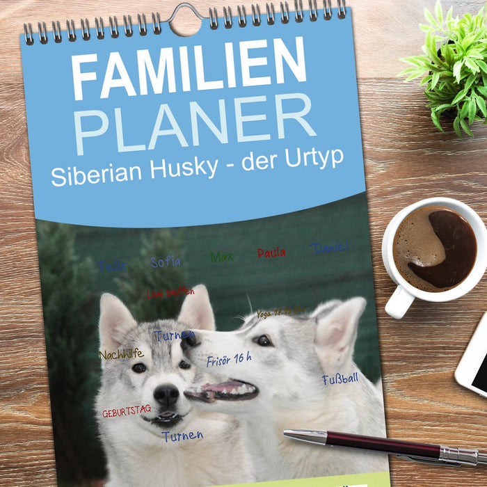 Siberian Husky - der Urtyp (CALVENDO Familienplaner 2026)