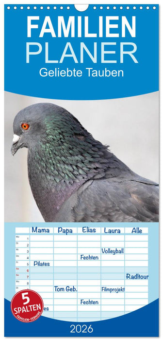 Geliebte Tauben (CALVENDO Familienplaner 2026)