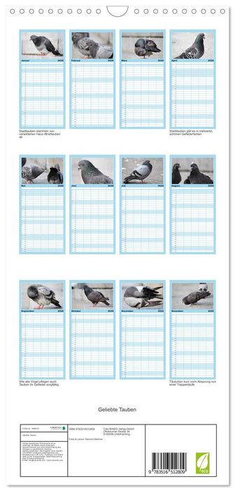 Geliebte Tauben (CALVENDO Familienplaner 2026)