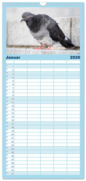 Geliebte Tauben (CALVENDO Familienplaner 2026)
