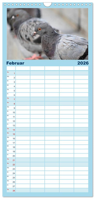 Geliebte Tauben (CALVENDO Familienplaner 2026)