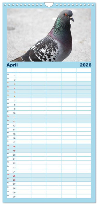 Geliebte Tauben (CALVENDO Familienplaner 2026)