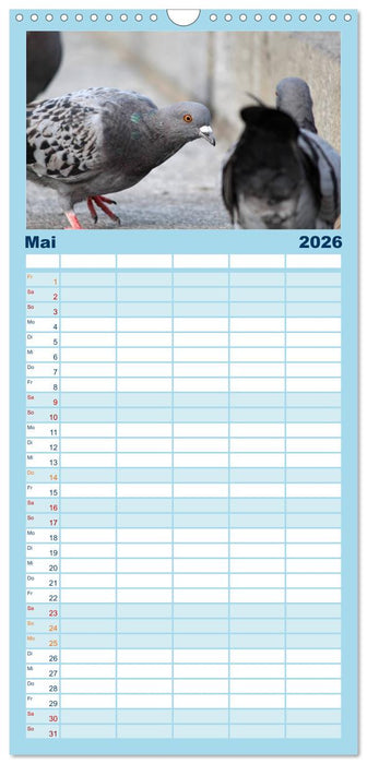Geliebte Tauben (CALVENDO Familienplaner 2026)