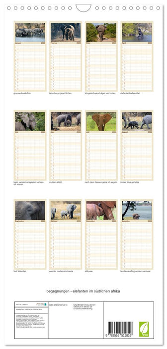 begegnungen - elefanten im südlichen afrika (CALVENDO Familienplaner 2026)