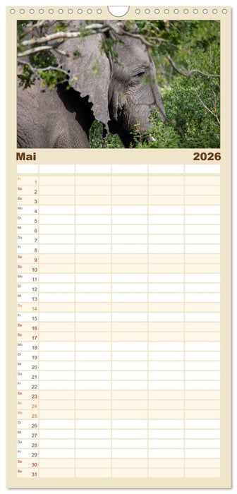 begegnungen - elefanten im südlichen afrika (CALVENDO Familienplaner 2026)