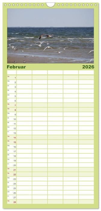 Texel, eine Perle Frieslands (CALVENDO Familienplaner 2026)