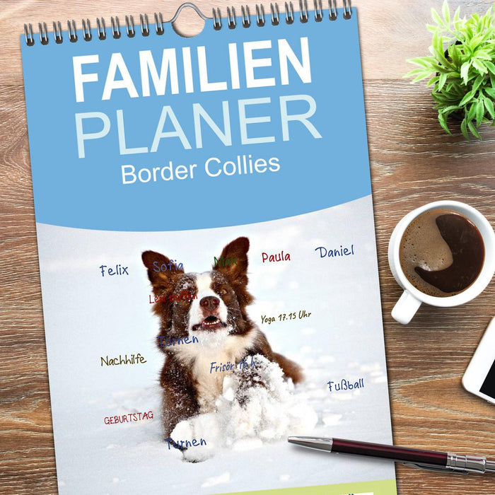 Border Collies (CALVENDO Familienplaner 2026)