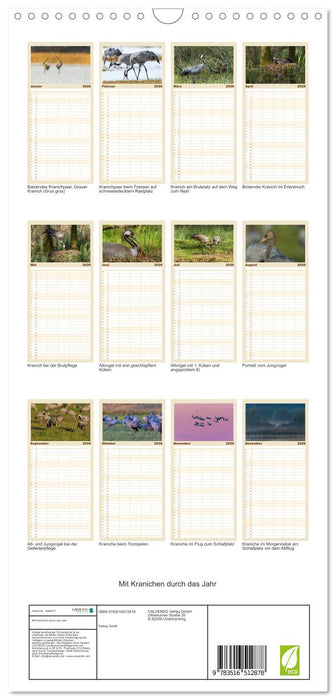 Mit Kranichen durch das Jahr (CALVENDO Familienplaner 2026)