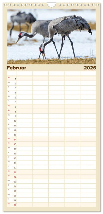 Mit Kranichen durch das Jahr (CALVENDO Familienplaner 2026)