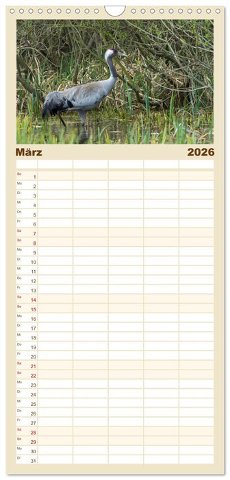 Mit Kranichen durch das Jahr (CALVENDO Familienplaner 2026)