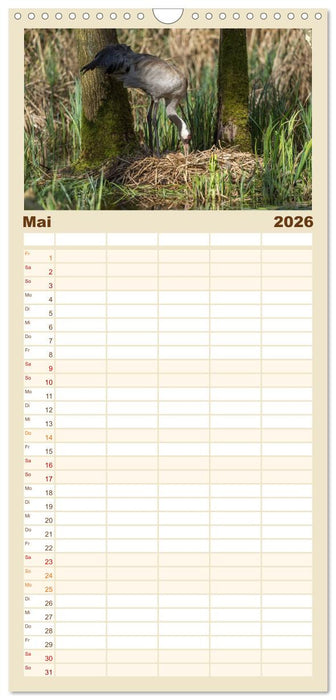 Mit Kranichen durch das Jahr (CALVENDO Familienplaner 2026)