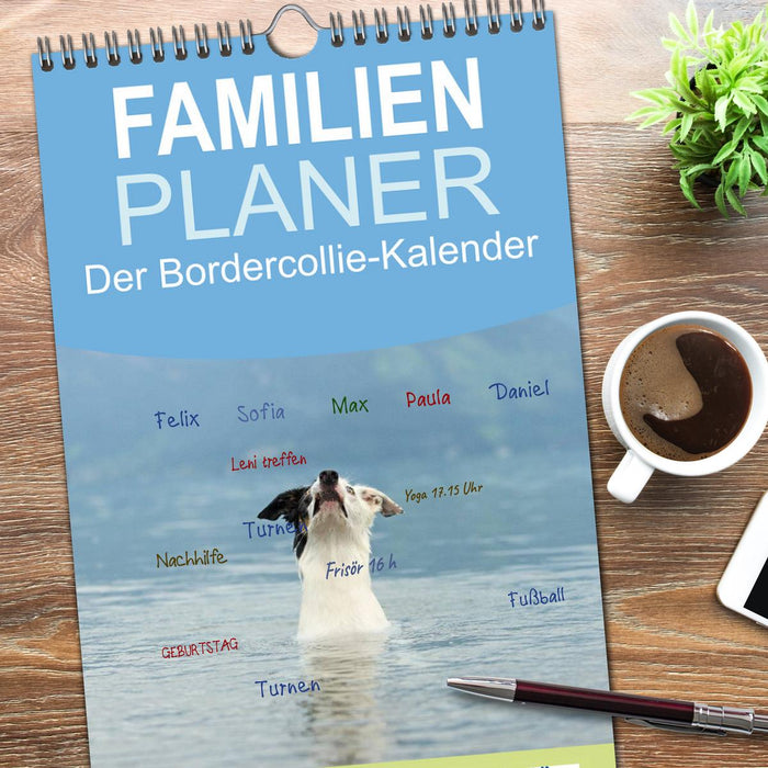 Der Bordercollie-Kalender (CALVENDO Familienplaner 2026)