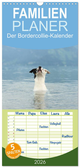 Der Bordercollie-Kalender (CALVENDO Familienplaner 2026)