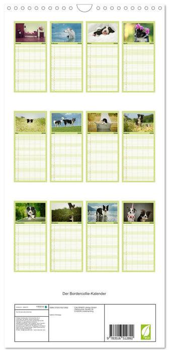 Der Bordercollie-Kalender (CALVENDO Familienplaner 2026)