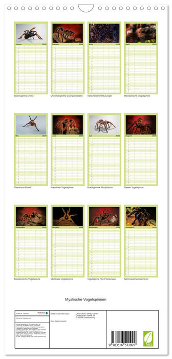 Mystische Vogelspinnen (CALVENDO Familienplaner 2026)