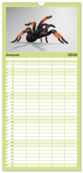 Mystische Vogelspinnen (CALVENDO Familienplaner 2026)