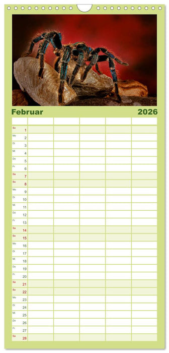 Mystische Vogelspinnen (CALVENDO Familienplaner 2026)