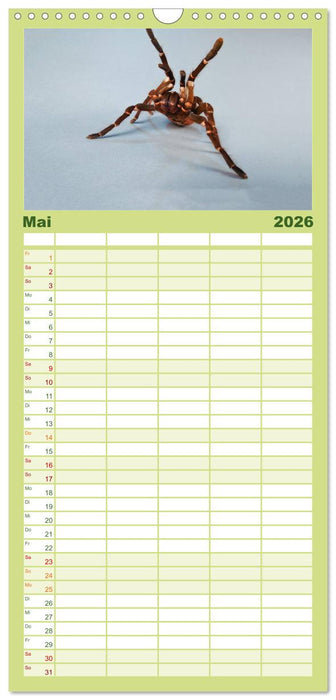Mystische Vogelspinnen (CALVENDO Familienplaner 2026)