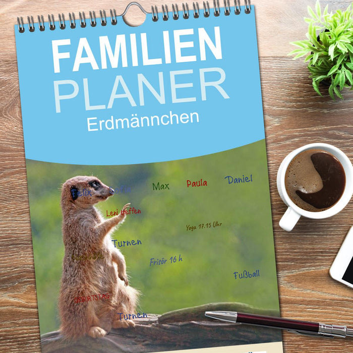 Erdmännchen (CALVENDO Familienplaner 2026)