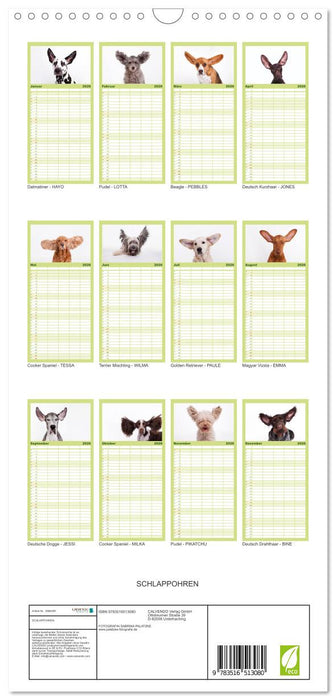 SCHLAPPOHREN (CALVENDO Familienplaner 2026)