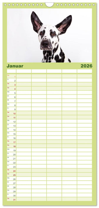 SCHLAPPOHREN (CALVENDO Familienplaner 2026)