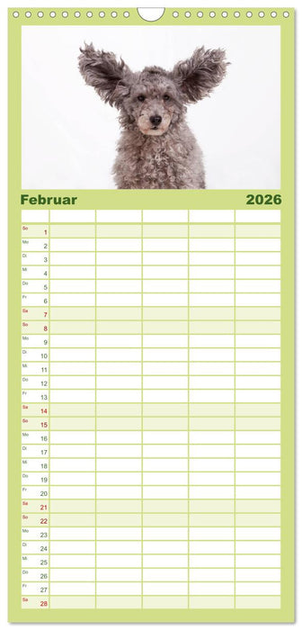 SCHLAPPOHREN (CALVENDO Familienplaner 2026)