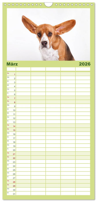 SCHLAPPOHREN (CALVENDO Familienplaner 2026)