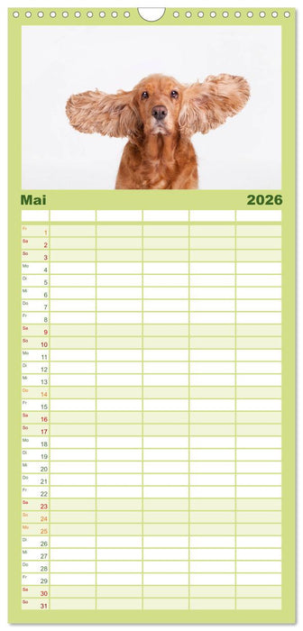 SCHLAPPOHREN (CALVENDO Familienplaner 2026)