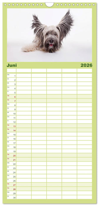 SCHLAPPOHREN (CALVENDO Familienplaner 2026)