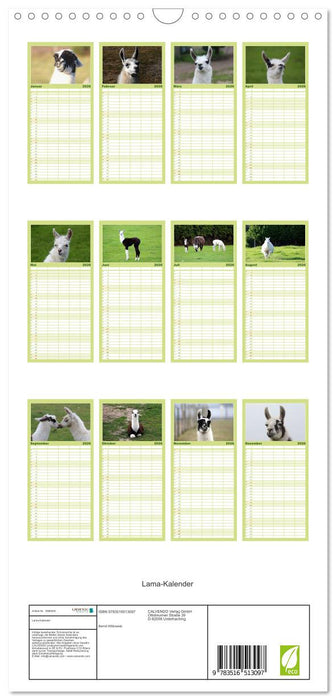 Lama-Kalender (CALVENDO Familienplaner 2026)