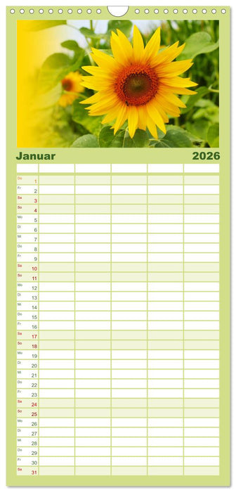 Sonnenblumen - die Blumen der Lebensfreude (CALVENDO Familienplaner 2026)