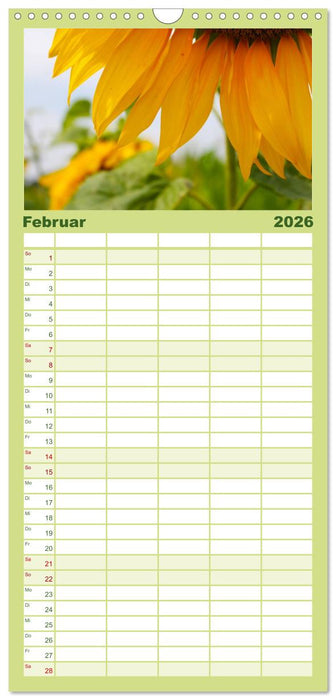 Sonnenblumen - die Blumen der Lebensfreude (CALVENDO Familienplaner 2026)